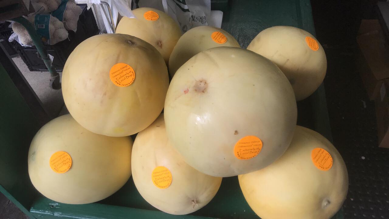 Orange Creamcicle Melons